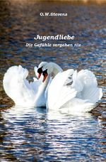 Begegnungen / Jugendliebe Cover des Buches Begegnungen / Jugendliebe (ISBN: 9783819716195)