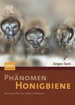 Phänomen Honigbiene Cover des Buches Phänomen Honigbiene (ISBN: 9783827418456)