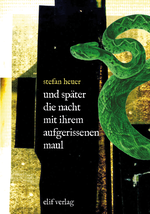 und später die nacht mit ihrem aufgerissenen maul Cover des Buches und später die nacht mit ihrem aufgerissenen maul (ISBN: 9783912550009)
