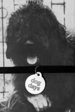 dog days Cover des Buches dog days (ISBN: 9783948174446)