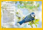 Natur-Kamishibai / Kamishibai - Die Vögel Cover des Buches Natur-Kamishibai / Kamishibai - Die Vögel (ISBN: 9783949939105)