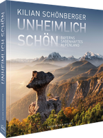 Unheimlich schön Cover des Buches Unheimlich schön (ISBN: 9783954164653)