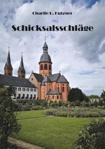 Schicksalsschläge Cover des Buches Schicksalsschläge (ISBN: 9783961030279)