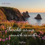 Fürchte dich nicht, denn ich bin bei dir Cover des Buches Fürchte dich nicht, denn ich bin bei dir (ISBN: 9783963625367)