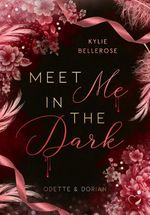 Meet me in the Dark Cover des Buches Meet me in the Dark (ISBN: 9783985957262)
