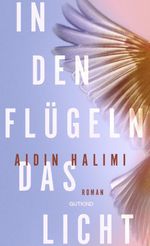 In den Flügeln das Licht Cover des Buches In den Flügeln das Licht (ISBN: 9783989410626)