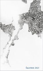 Facetten 2025 Cover des Buches Facetten 2025 (ISBN: 9783991263913)