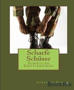 Scharfe Schüsse: Schwule Erotikgeschichte Cover des Buches Scharfe Schüsse: Schwule Erotikgeschichte (ISBN: 9783730950517)
