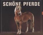 Schöne Pferde Cover des Buches Schöne Pferde (ISBN: 9783784352572)