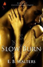 Slow Burn (Contemporary) (The Fitzgerald Family Book 1) Cover des Buches Slow Burn (Contemporary) (The Fitzgerald Family Book 1) (ISBN: 9780983429708)