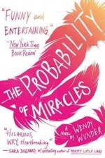 The Probability of Miracles Cover des Buches The Probability of Miracles (ISBN: 9781595144805)