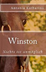 Winston III: Nichts ist unmöglich Cover des Buches Winston III: Nichts ist unmöglich (ISBN: 9781503175921)
