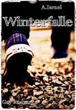 Winterfalle Cover des Buches Winterfalle (ISBN: 9783736877207)