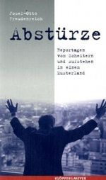 "Abstürze" Cover des Buches "Abstürze" (ISBN: 9783937667737)