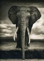 A Shadow Falls Cover des Buches A Shadow Falls (ISBN: 9780810954151)