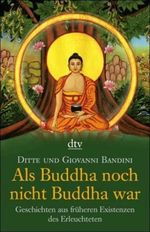 Als Buddha noch nicht Buddha war Cover des Buches Als Buddha noch nicht Buddha war (ISBN: 9783423343527)