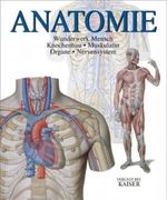 Anatomie Cover des Buches Anatomie (ISBN: 9783704360571)