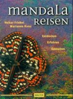 Der Emporkömmling Cover des Buches Der Emporkömmling (ISBN: 9783423120548)