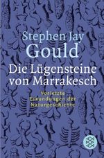 Die Lügensteine von Marrakesch Cover des Buches Die Lügensteine von Marrakesch (ISBN: 9783596157877)