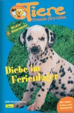 Diebe im Ferienlager Cover des Buches Diebe im Ferienlager (ISBN: 9783897487406)
