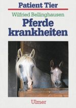 Dumm und dick Cover des Buches Dumm und dick (ISBN: 9783442414222)