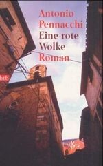 Eine rote Wolke Cover des Buches Eine rote Wolke (ISBN: 9783442729913)