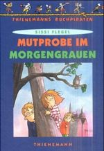 Feuersturm. Star Trek Classic. Cover des Buches Feuersturm. Star Trek Classic. (ISBN: 9783453133068)