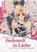 Gefesselt in Liebe. Bd.1 Cover des Buches Gefesselt in Liebe. Bd.1 (ISBN: 9783867191265)