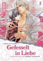 Gefesselt in Liebe (Roman) 02 Cover des Buches Gefesselt in Liebe (Roman) 02 (ISBN: 9783867191272)