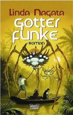 Götterfunke Cover des Buches Götterfunke (ISBN: 9783404243129)