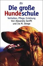 Hans Albers Cover des Buches Hans Albers (ISBN: 9783548275253)