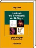 Heldenträume Cover des Buches Heldenträume (ISBN: 9783896040121)