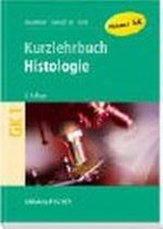 Histologie mit Schemazeichnungen Cover des Buches Histologie mit Schemazeichnungen (ISBN: 9783437422317)