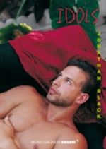 Idols Cover des Buches Idols (ISBN: 9783867870030)