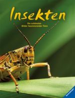 Insekten Cover des Buches Insekten (ISBN: 9783473552146)