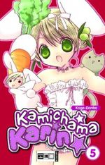Kamichama Karin 5 Cover des Buches Kamichama Karin 5 (ISBN: 1598161865)