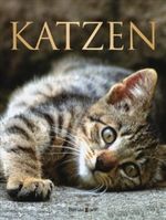 Katzen Cover des Buches Katzen (ISBN: 9783809421818)