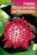 Kinder der Sonne Cover des Buches Kinder der Sonne (ISBN: 9783426650813)