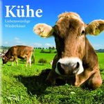 Kühe Cover des Buches Kühe (ISBN: 9783869412405)