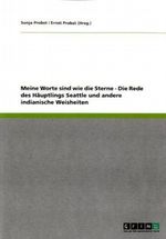 Meine Worte sind wie die Sterne Cover des Buches Meine Worte sind wie die Sterne (ISBN: 9783638957434)