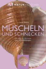 Muscheln und Schnecken Cover des Buches Muscheln und Schnecken (ISBN: 9783831007899)