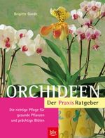 Orchideen. Der Praxis-Ratgeber Cover des Buches Orchideen. Der Praxis-Ratgeber (ISBN: 9783405165116)