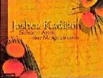 Siebzehn Arten, eine Mango zu essen Cover des Buches Siebzehn Arten, eine Mango zu essen (ISBN: 9783426660614)