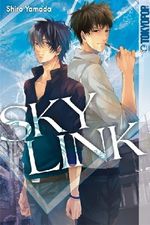 Sky Link Cover des Buches Sky Link (ISBN: 9783842005143)