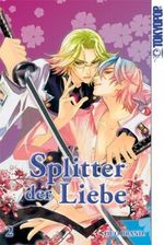 Splitter der Liebe 02 Cover des Buches Splitter der Liebe 02 (ISBN: 9783867199674)