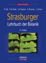 Strasburger - Lehrbuch der Botanik für Hochschulen Cover des Buches Strasburger - Lehrbuch der Botanik für Hochschulen (ISBN: 9783827410108)
