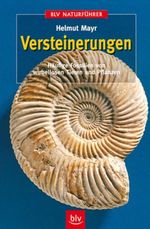 Versteinerungen Cover des Buches Versteinerungen (ISBN: 9783405151157)