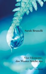 Vier Elemente, das Wasser bricht aus Cover des Buches Vier Elemente, das Wasser bricht aus (ISBN: 9783831615193)