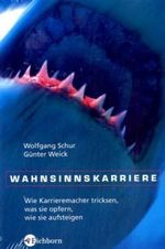 Wahnsinnskarriere Cover des Buches Wahnsinnskarriere (ISBN: 9783821856056)
