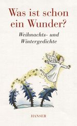 Was ist schon ein Wunder Cover des Buches Was ist schon ein Wunder (ISBN: 9783446208124)
